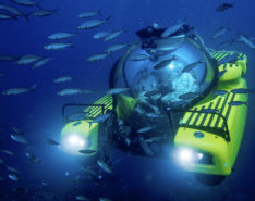 Into The Ocean Event At Art Science Museum Singapore
