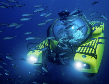 Into The Ocean Event At Art Science Museum Singapore