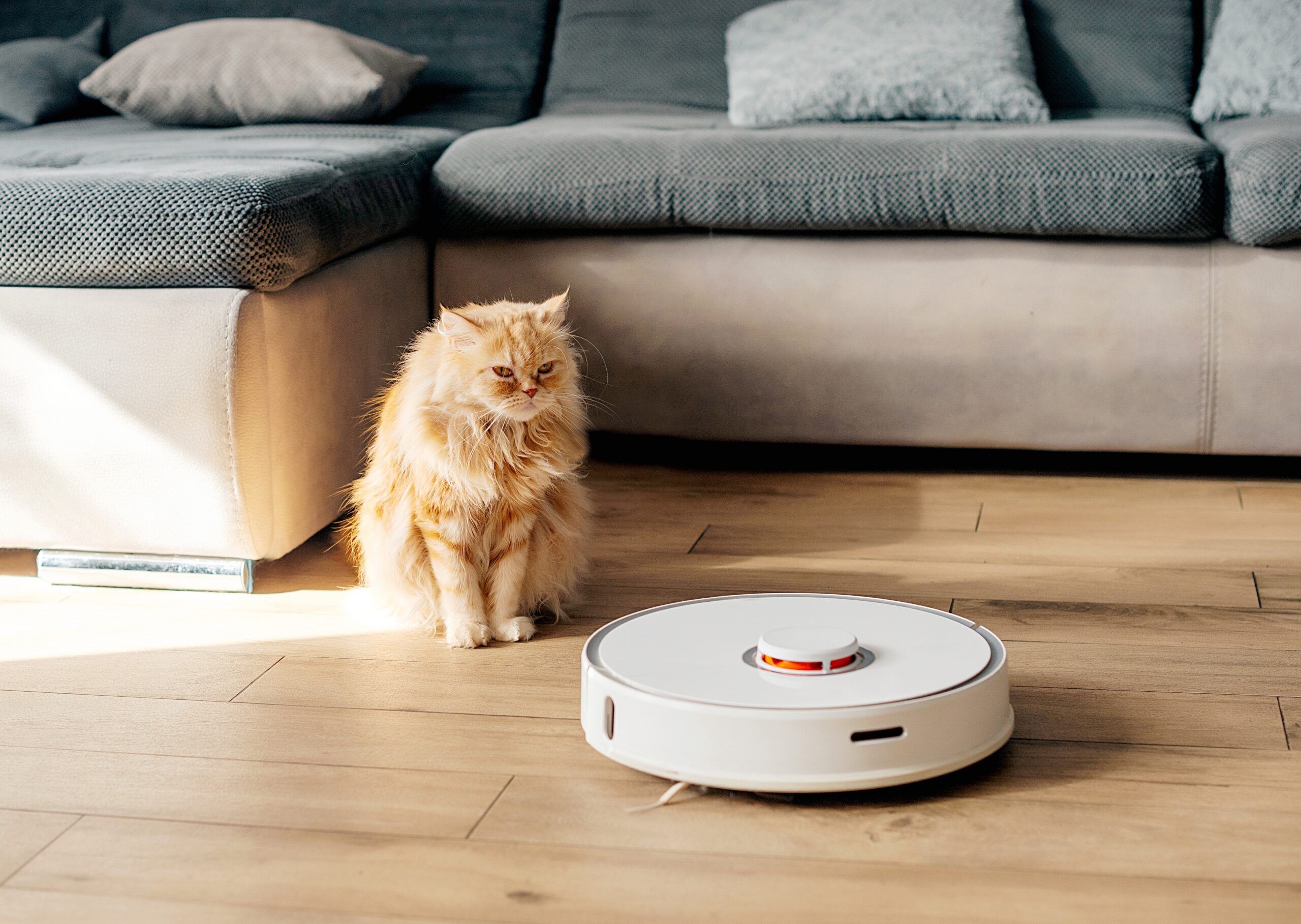 Guide To The Best Robot Vacuum Cleaners & Mops In Hong Kong 2026