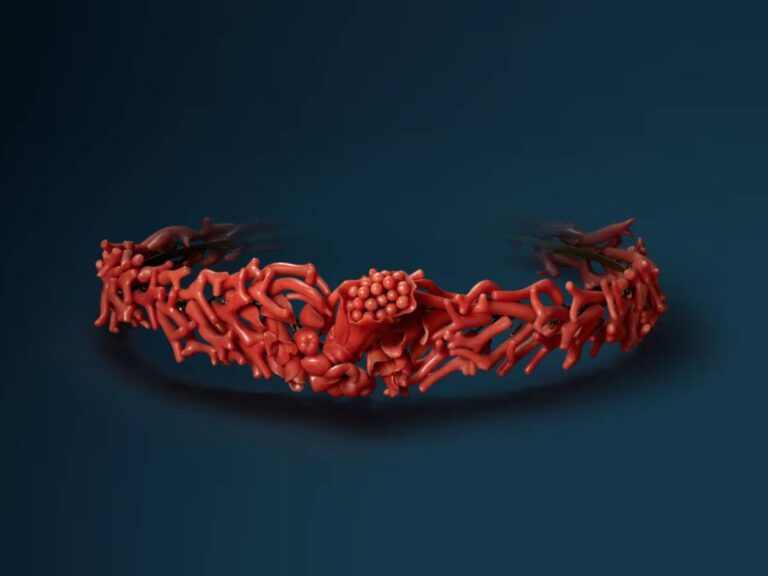 The Precious Coral exhibition at L’ÉCOLE School of Jewelry Arts in Hong Kong
