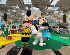 peanuts-meet-and-greet-changi-airport-singapore
