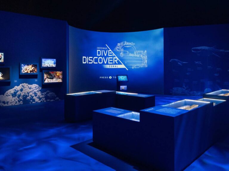 Into the Ocean: Journey Beneath immersive exhibition at ArtScience Museum Singapore