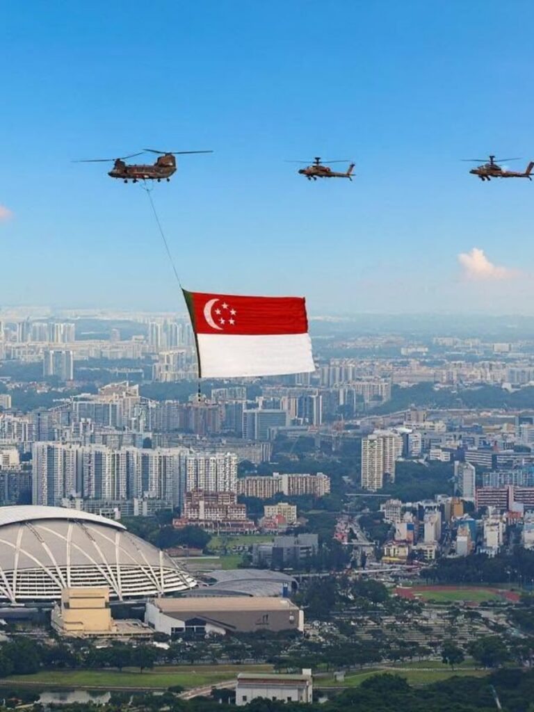 Image of National Day State Flag Flypast