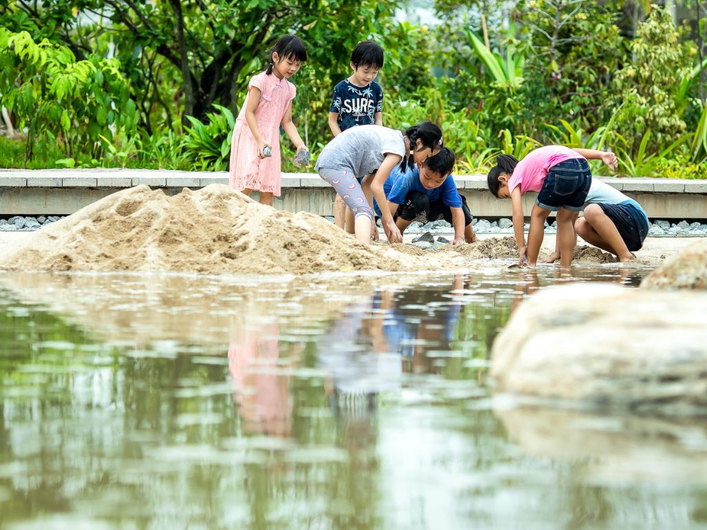 Image of Clusia Cove pond at Jurong Lake Gardens