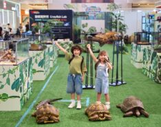 Exotic Pets World 2026 Returns To Hopewell Mall