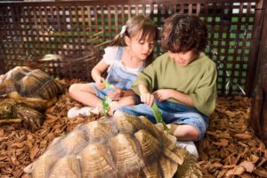 Best Family-Friendly Events In Hong Kong - July 2026