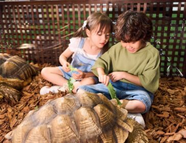 Best Family-Friendly Events In Hong Kong - July 2026