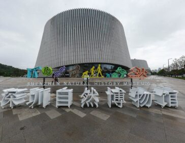 Shenzhen Natural History Museum Opens: 8 Immersive Halls
