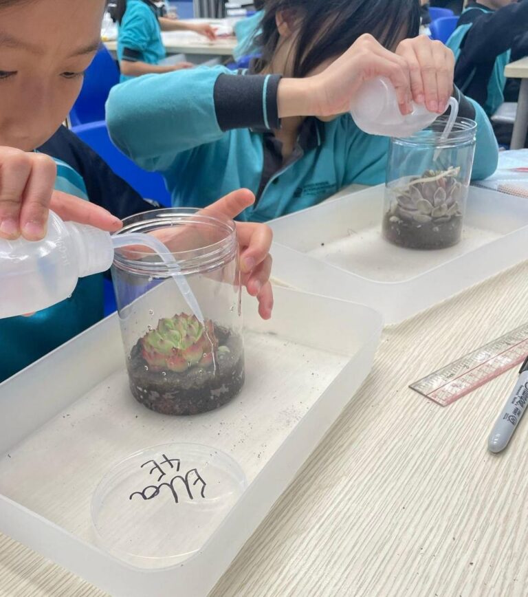 Nord Anglia Curiosity Kids Hong Kong