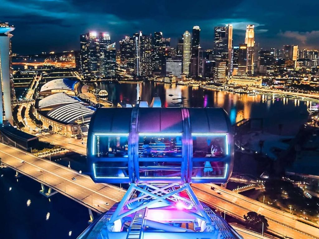 Image of Singapore Flyer at night