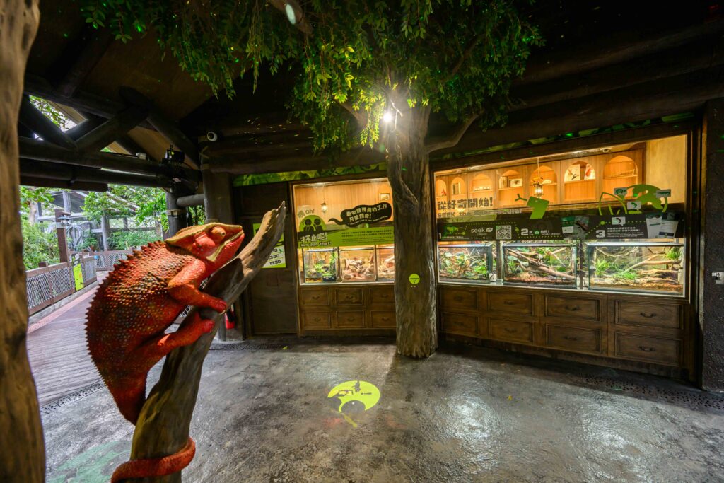 Ocean Park Hong Kong’s New Reptile Territory: What Families Need to Know