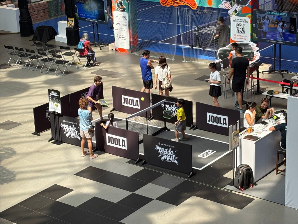 Image of mini pickleball court - PickleMall