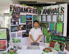Animals display Etonhouse Singapore