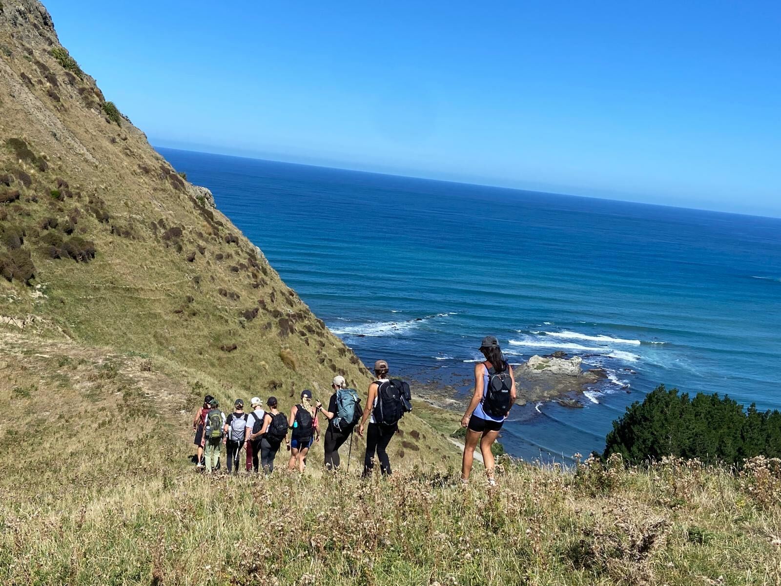 Walking the Tora Coastal in New Zealand