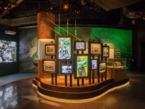 Image of exhibition at the Singapore History Gallery