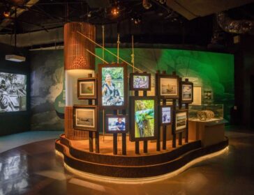 Image of exhibition at the Singapore History Gallery