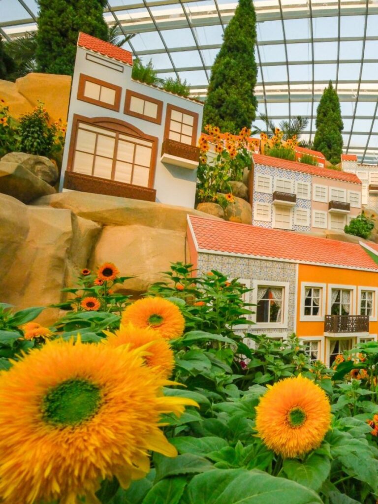 Image of sunflowers at Gardens by the Bay - kid-friendly museum singapore