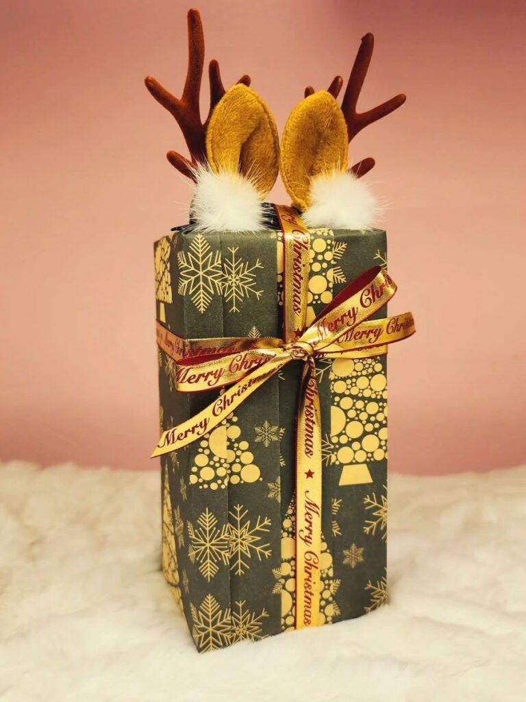 Image of wrapped gift - Eileen Town Gift Shop - christmas wrapping paper singapore