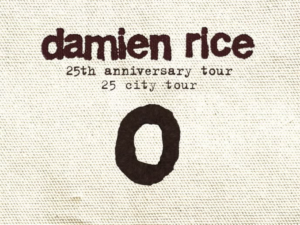 irish songwriter and singer damien rice will play two concerts at xiqu centre west kowloon in february 2027