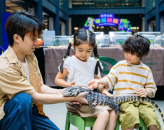 MEET CREEPY crawlies tsuen wan