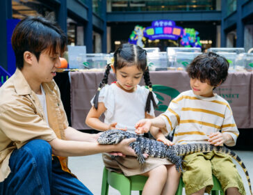 MEET CREEPY crawlies tsuen wan