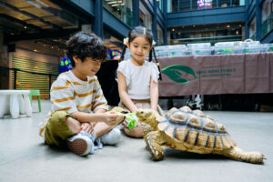 family-friendly event plus halloween event in tsuen wan at the mills